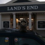 Szop,Land's End, Anglia